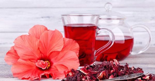 Já ouviu falar da dieta do chá de hibisco? Descubra aqui como ela funciona